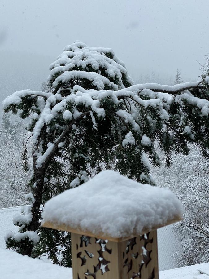 'Love' Hanmer Couples Retreat Limited Hanmer Springs Eksteriør billede