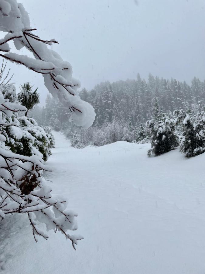 'Love' Hanmer Couples Retreat Limited Hanmer Springs Eksteriør billede